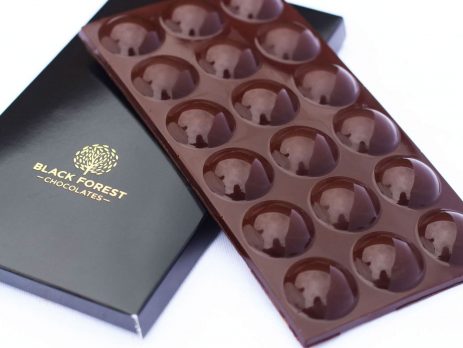 Dark Chocolate and Hazelnut Button Chocolate Bar